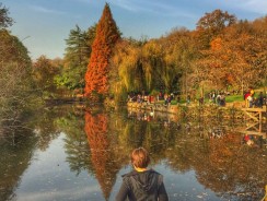 İstanbul’da bir vaha: Atatürk Arboretumu