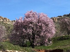 Mardin: Mezopotamya ve Ötesi…